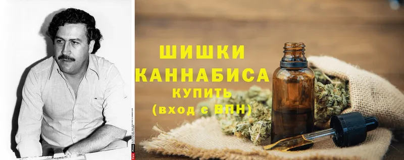 Бошки марихуана THC 21%  Майкоп 